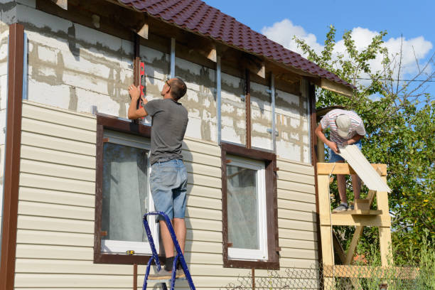 Best Stone Veneer Siding  in San Ysidro, NM